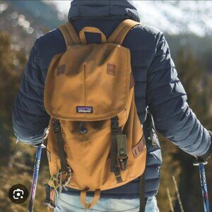 Patagonia bear brown Arbor 26L backpack